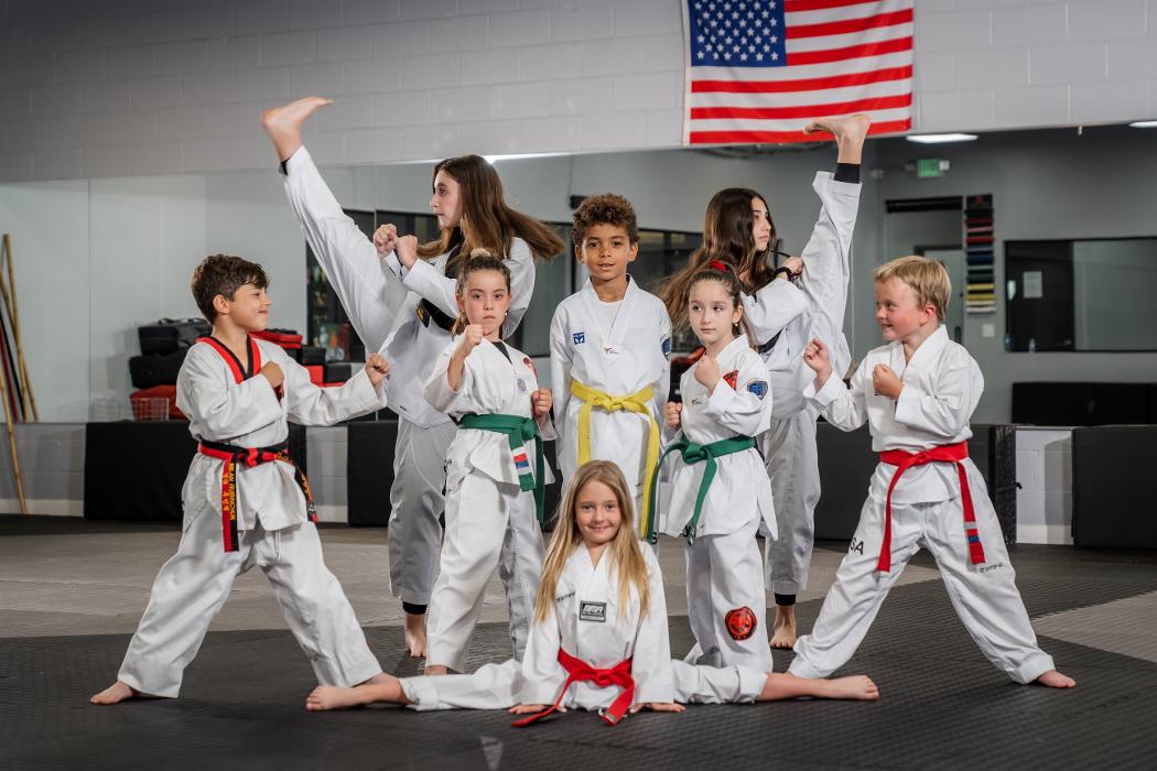 Lions Taekwondo Academy - Van Nuys, CA