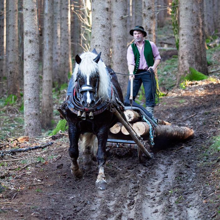 Rossinger, Egg in Egg bei Hermagor