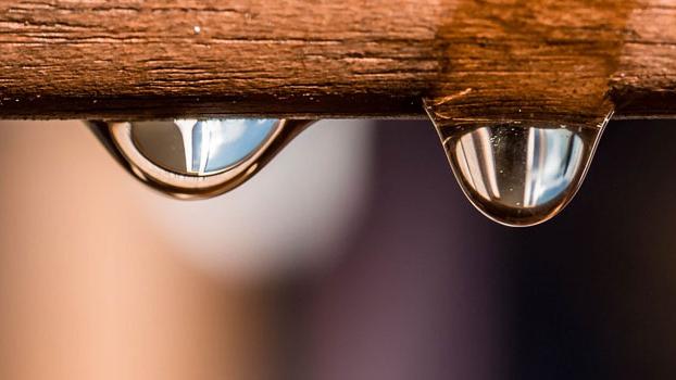 Bautentrocknung Wandel, Eibenweg in Brühl