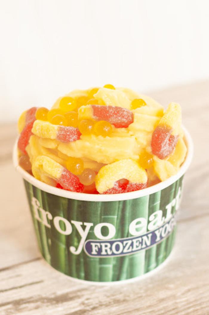 Froyo Earth - Chelan, WA
