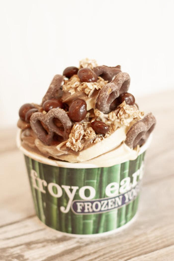 Froyo Earth - Chelan, WA