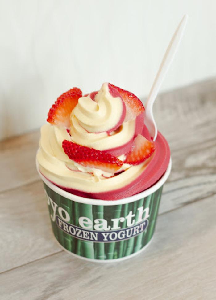 Froyo Earth - Chelan, WA
