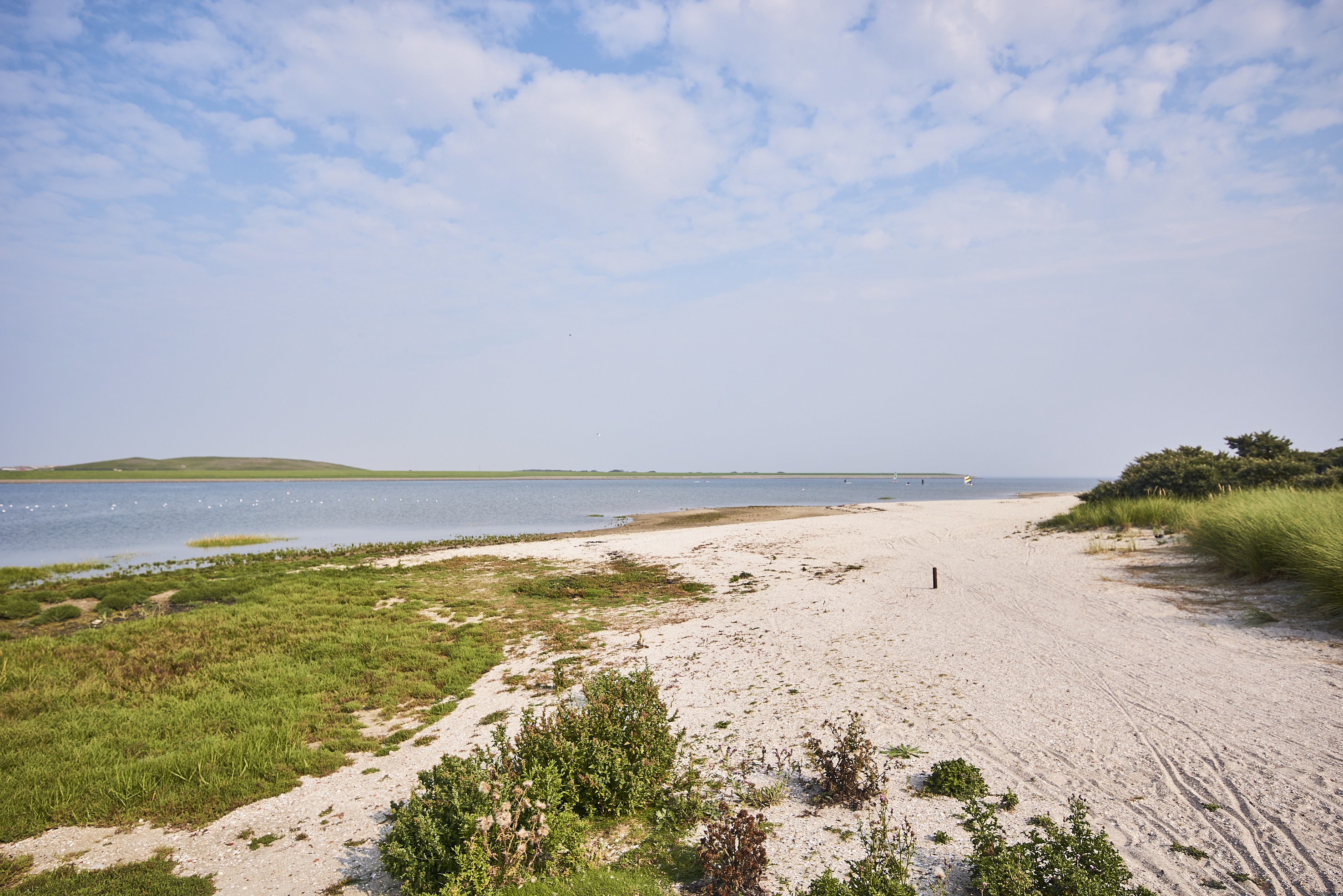 Er sucht sie norderney