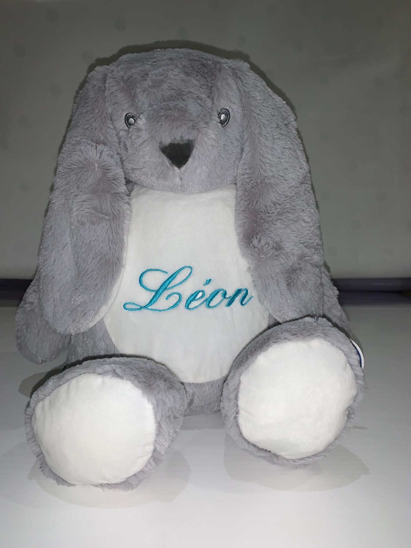 Miniature de la galerie