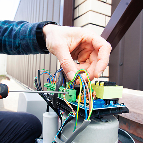 Miniature de la galerie