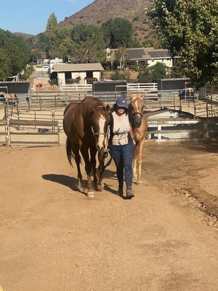 Red Velvet Ranch - Acton, CA