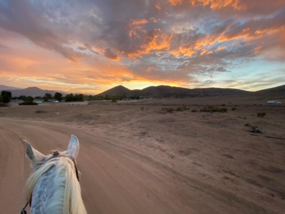 Red Velvet Ranch - Acton, CA