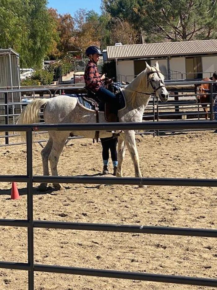 Red Velvet Ranch - Acton, CA