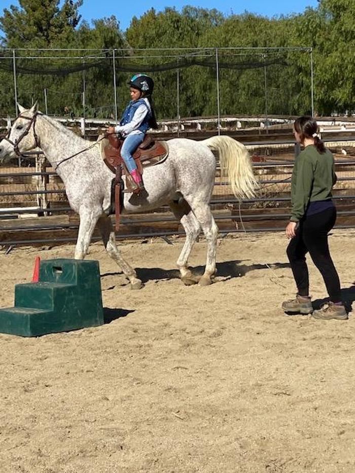 Red Velvet Ranch - Acton, CA