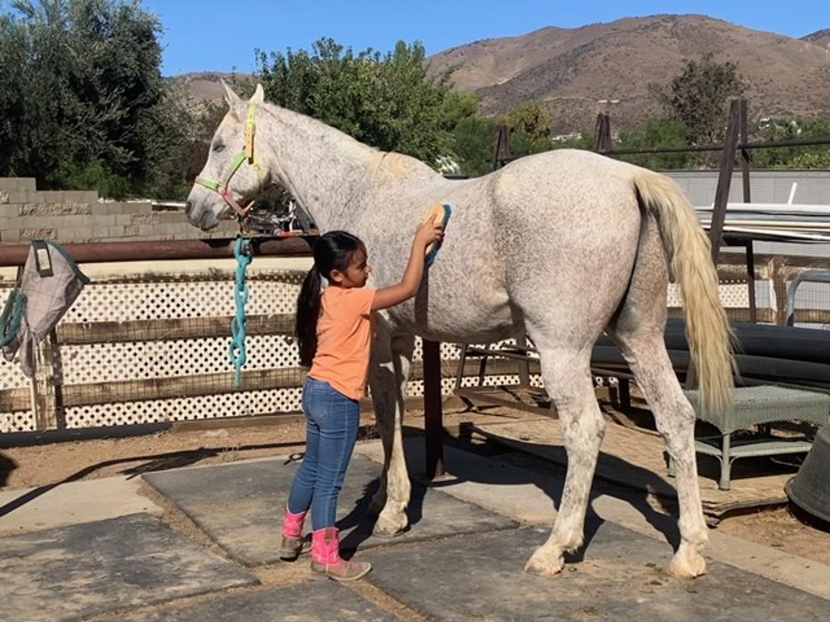 Red Velvet Ranch - Acton, CA