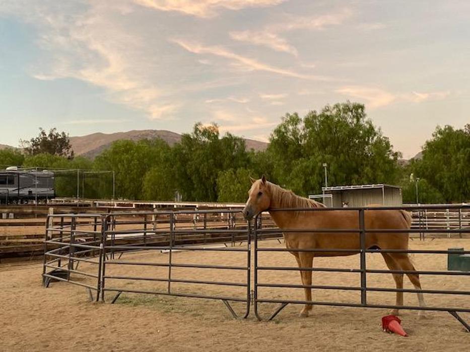 Red Velvet Ranch - Acton, CA