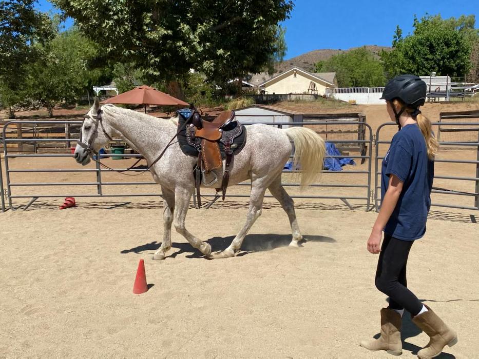 Red Velvet Ranch - Acton, CA