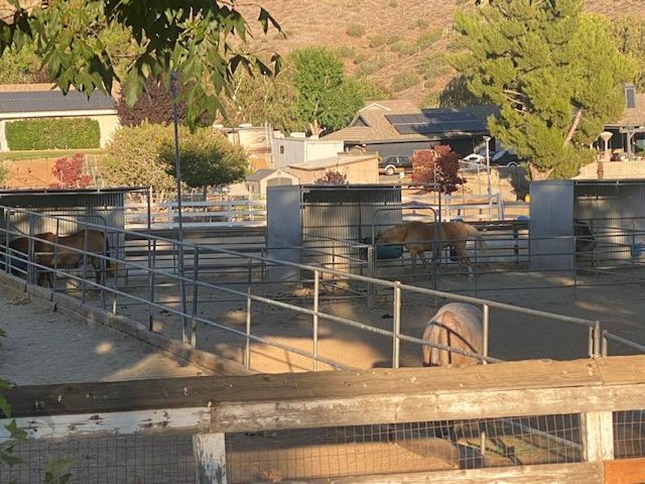 Red Velvet Ranch - Acton, CA