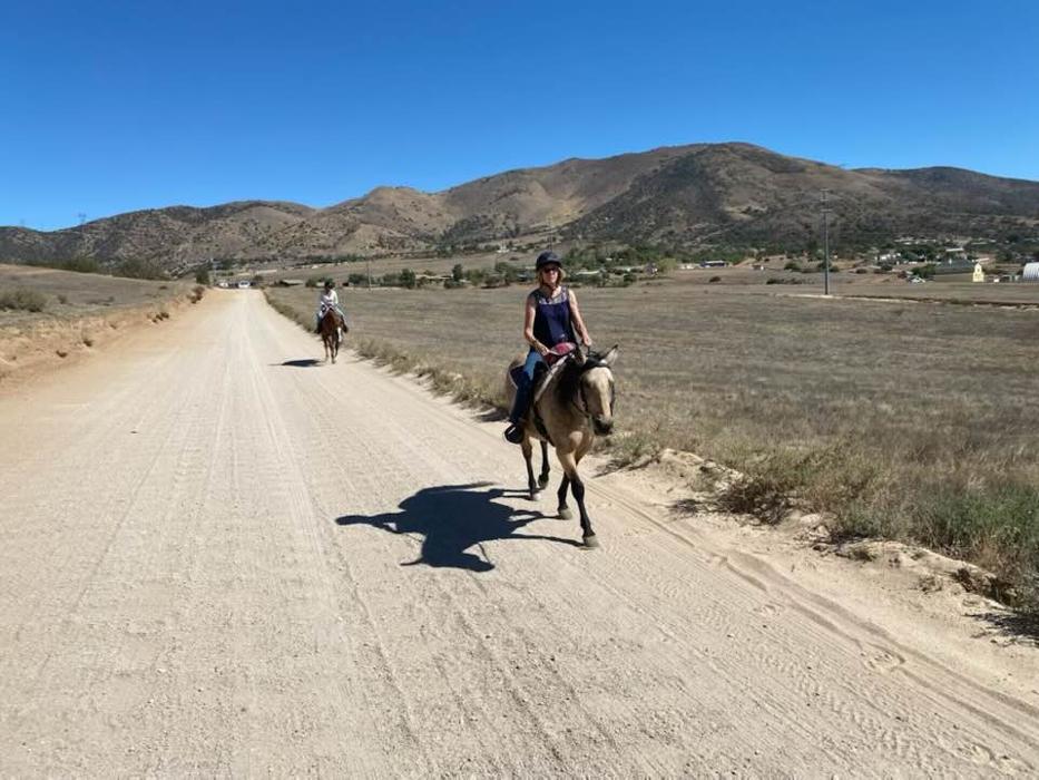 Red Velvet Ranch - Acton, CA