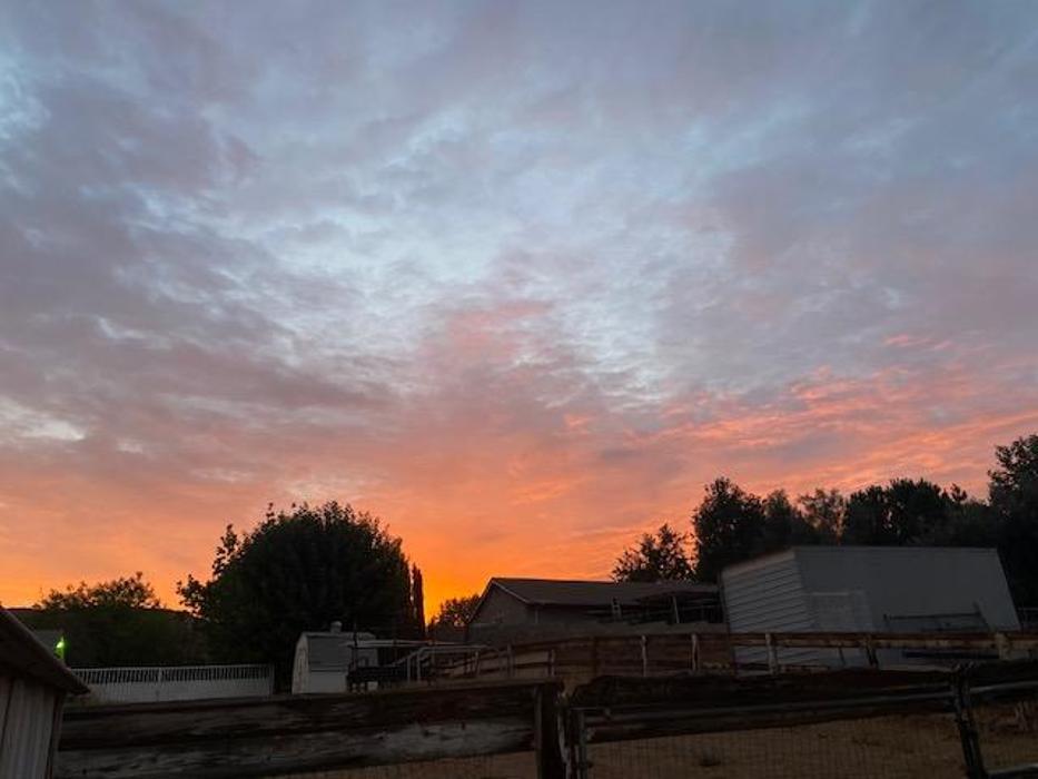 Red Velvet Ranch - Acton, CA