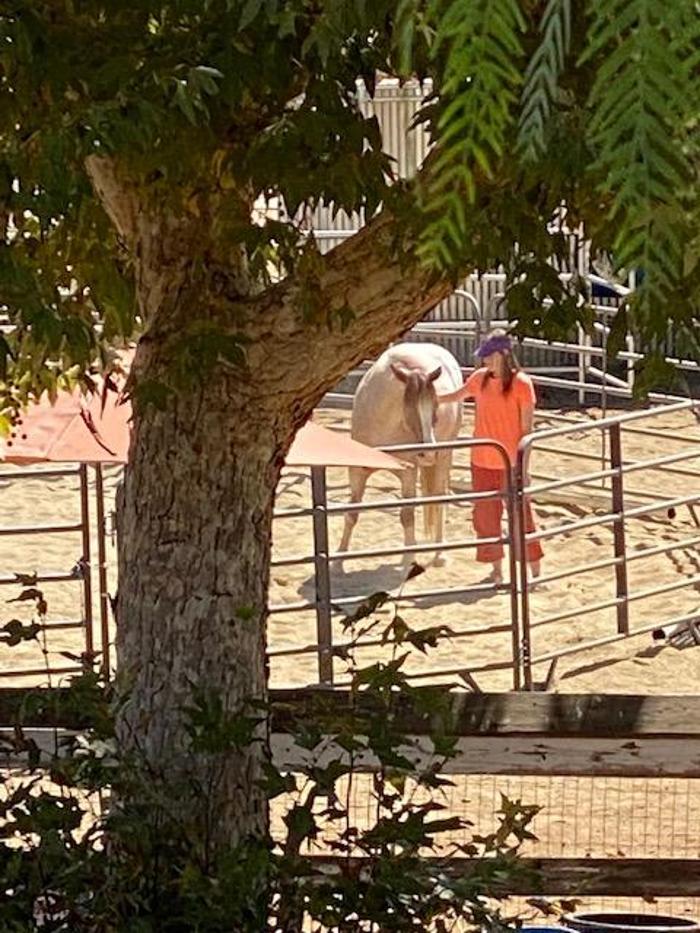 Red Velvet Ranch - Acton, CA