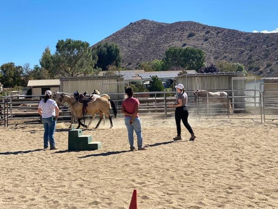 Red Velvet Ranch - Acton, CA