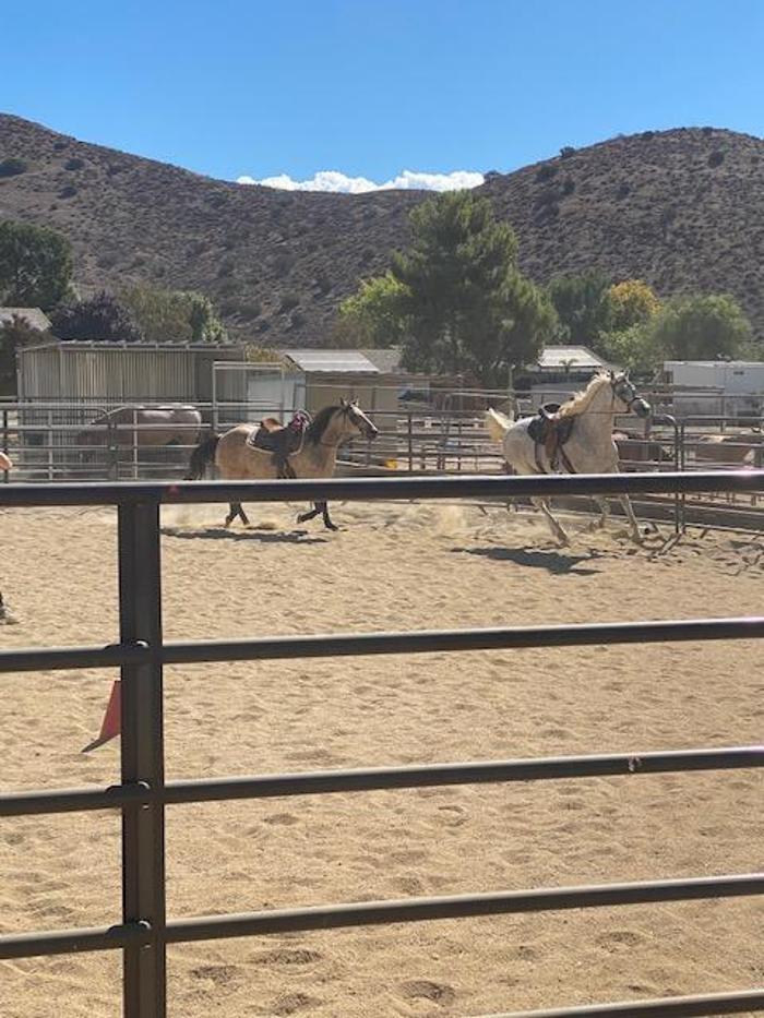 Red Velvet Ranch - Acton, CA