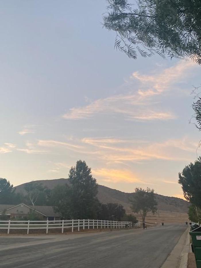 Red Velvet Ranch - Acton, CA