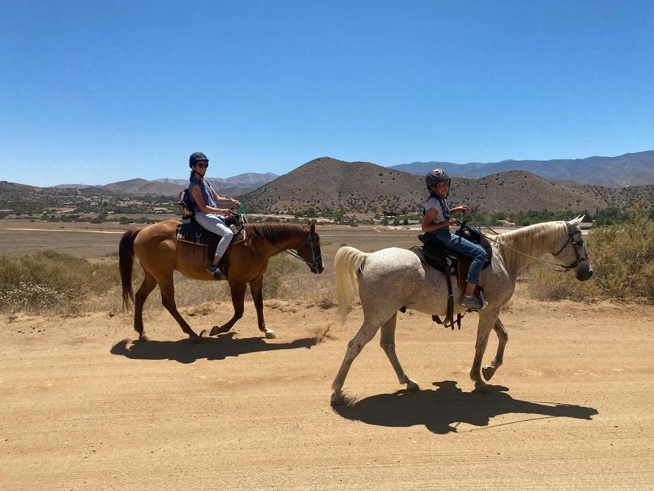 Red Velvet Ranch - Acton, CA