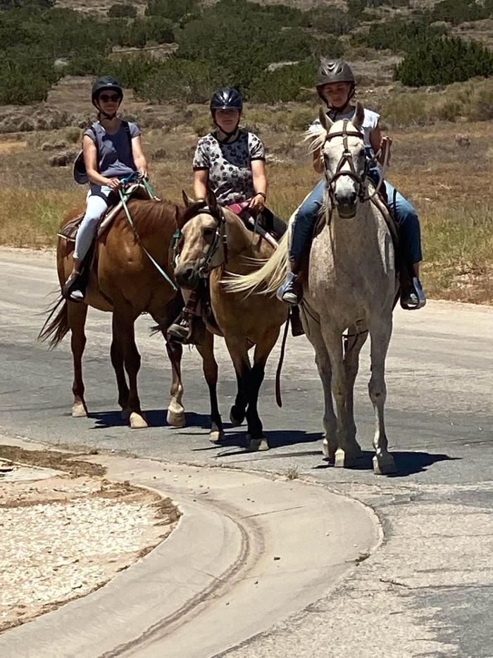 Red Velvet Ranch - Acton, CA