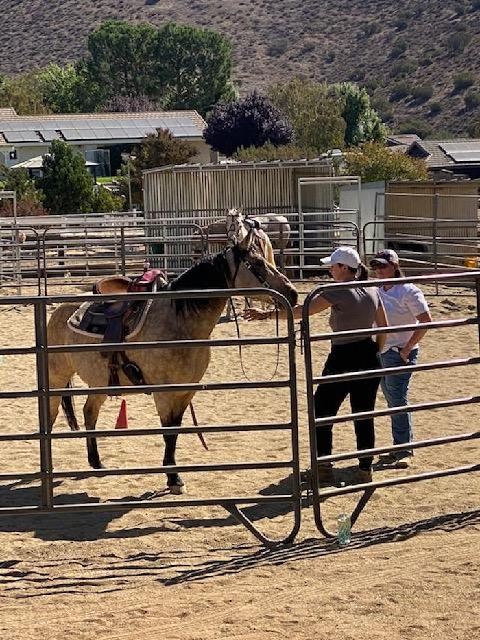 Red Velvet Ranch - Acton, CA
