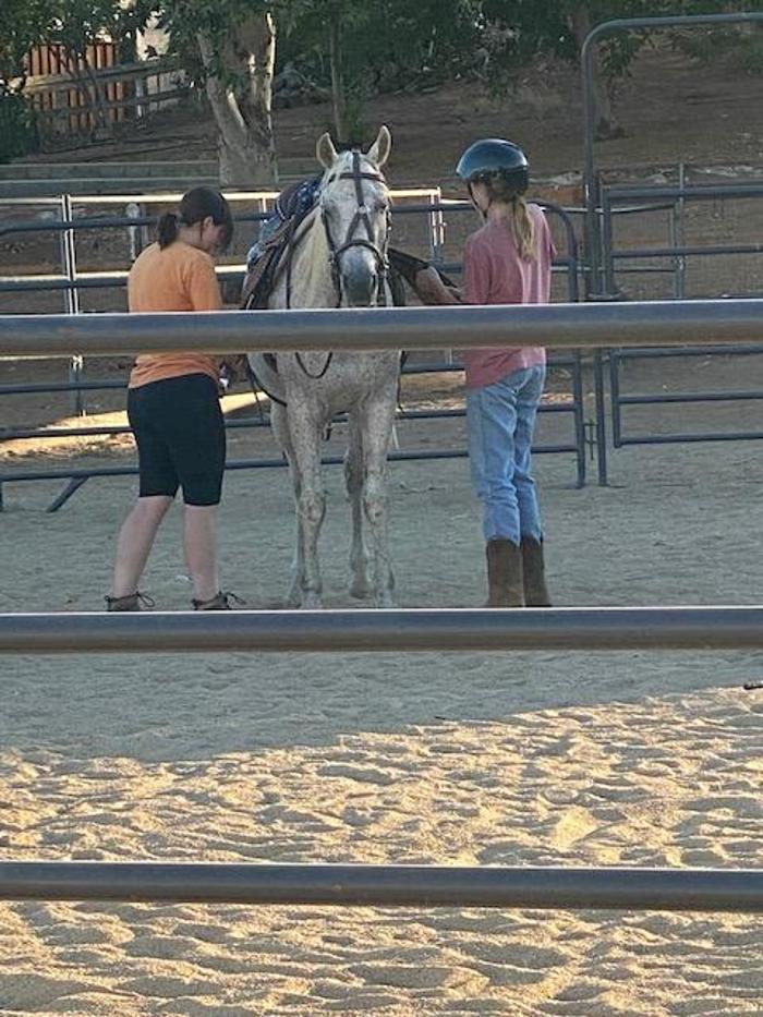 Red Velvet Ranch - Acton, CA