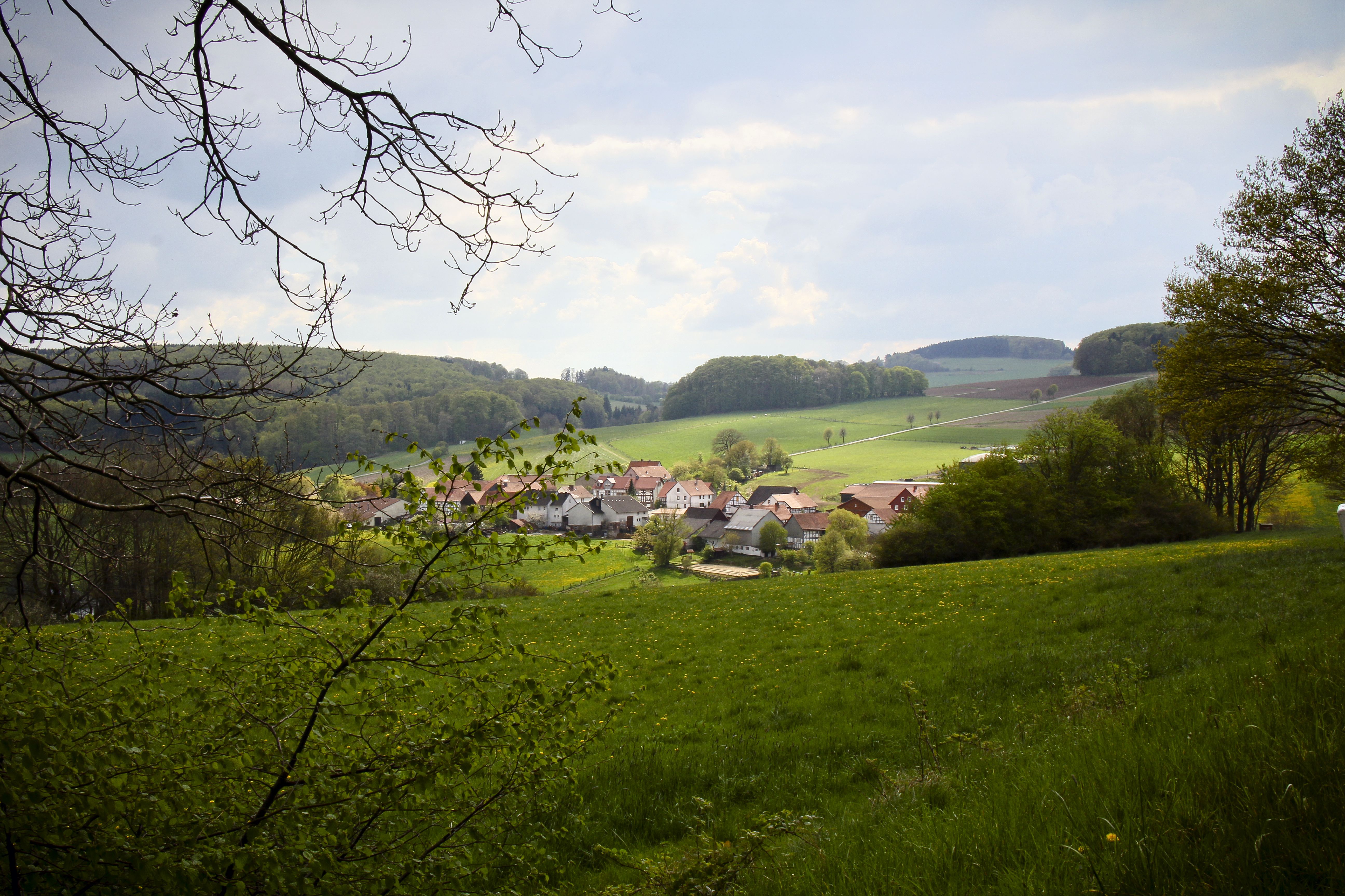 Galerie-Thumbnail
