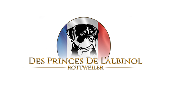 Elevage Des Princes De L'albinol élevage de chiens, de chats