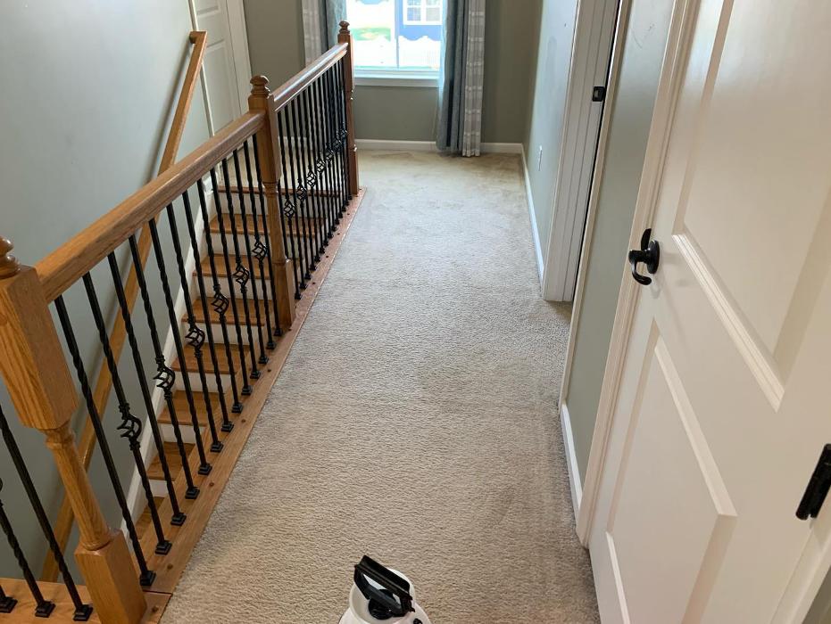CC's Carpet Cleaning - Norfolk, VA