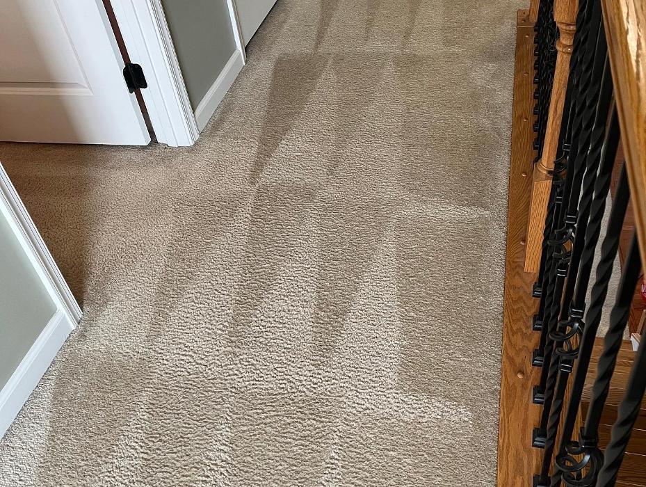 CC's Carpet Cleaning - Norfolk, VA