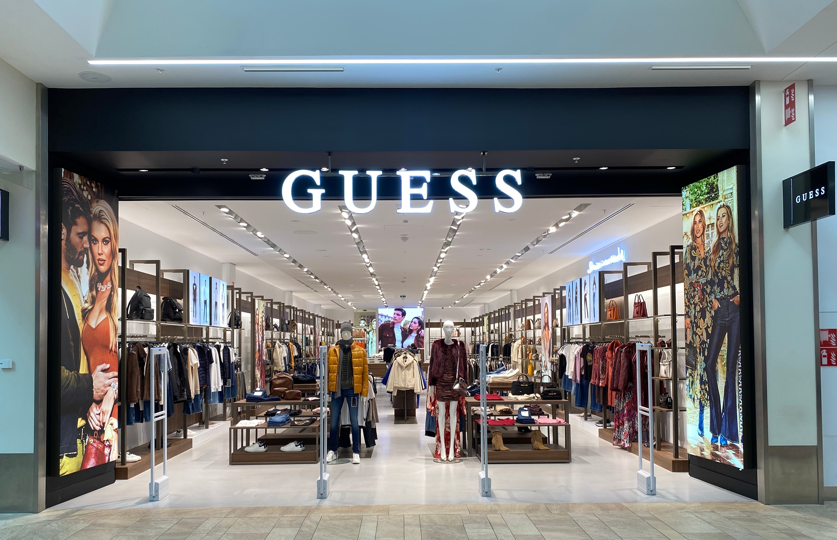 Miniature de la galerie