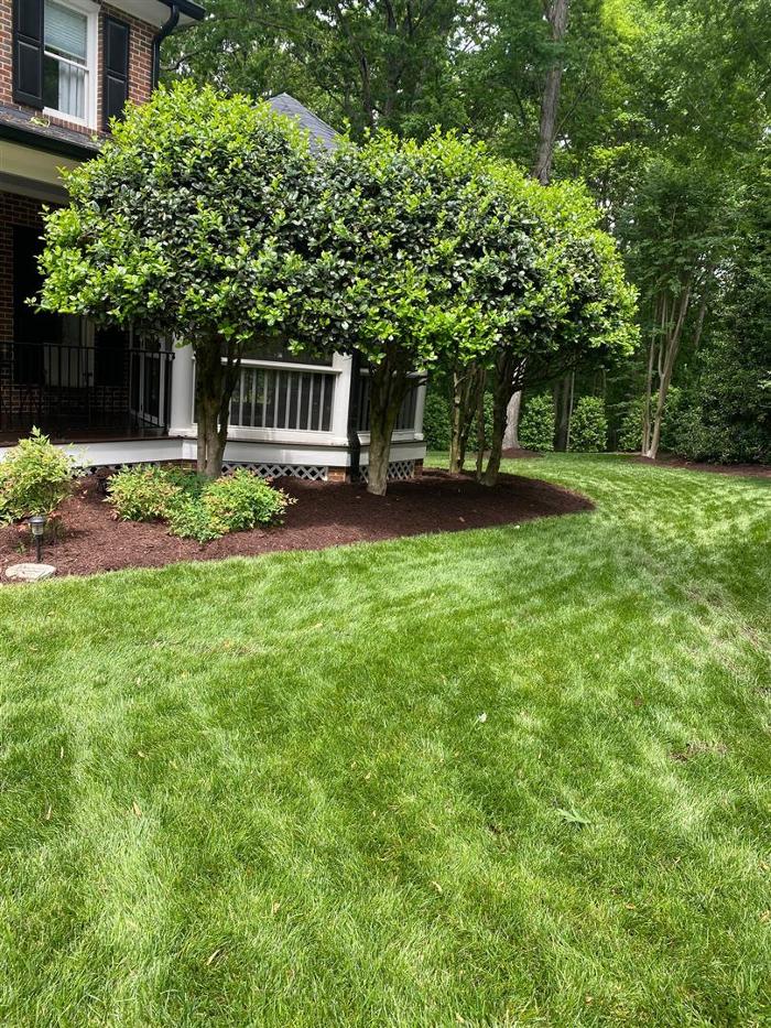Eden Landscaping - Raleigh, NC