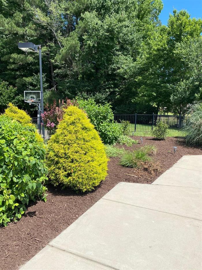 Eden Landscaping - Raleigh, NC
