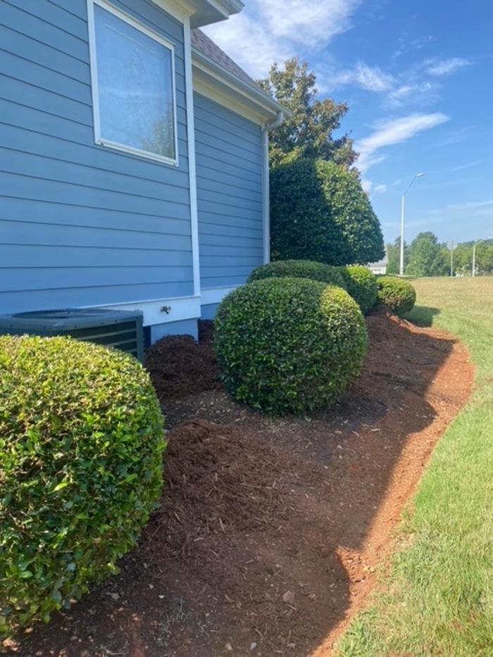 Eden Landscaping - Raleigh, NC