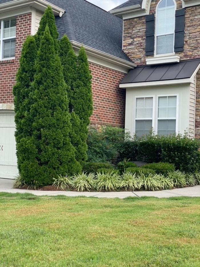 Eden Landscaping - Raleigh, NC