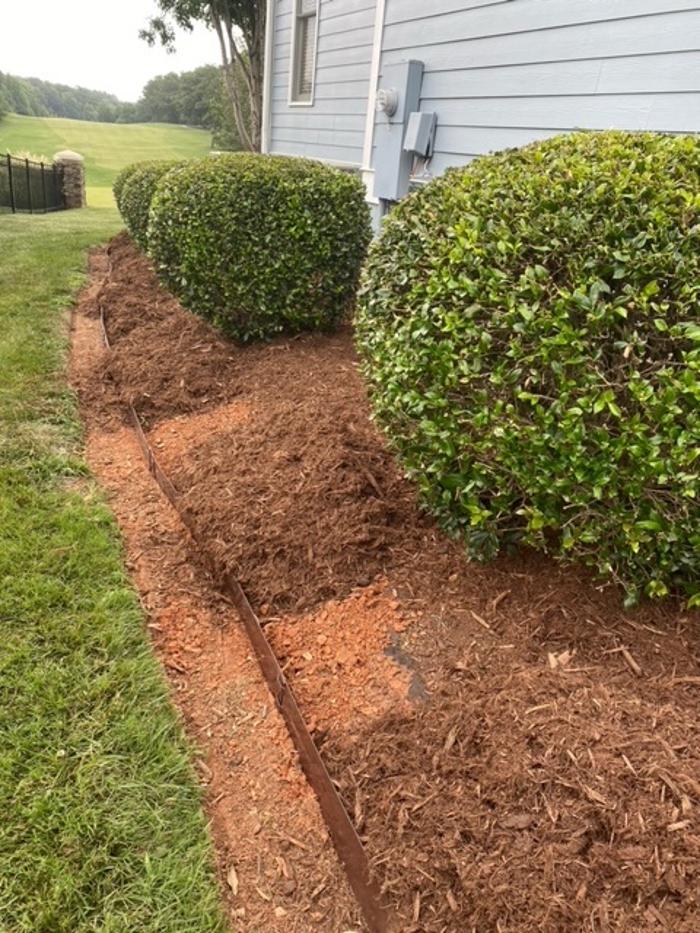 Eden Landscaping - Raleigh, NC