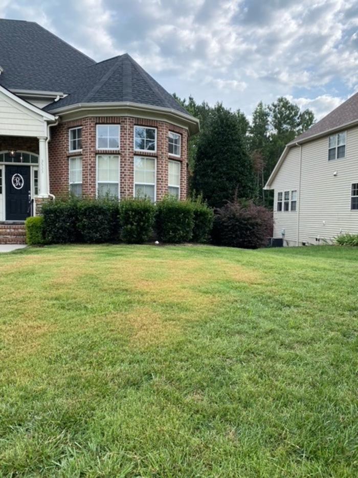 Eden Landscaping - Raleigh, NC