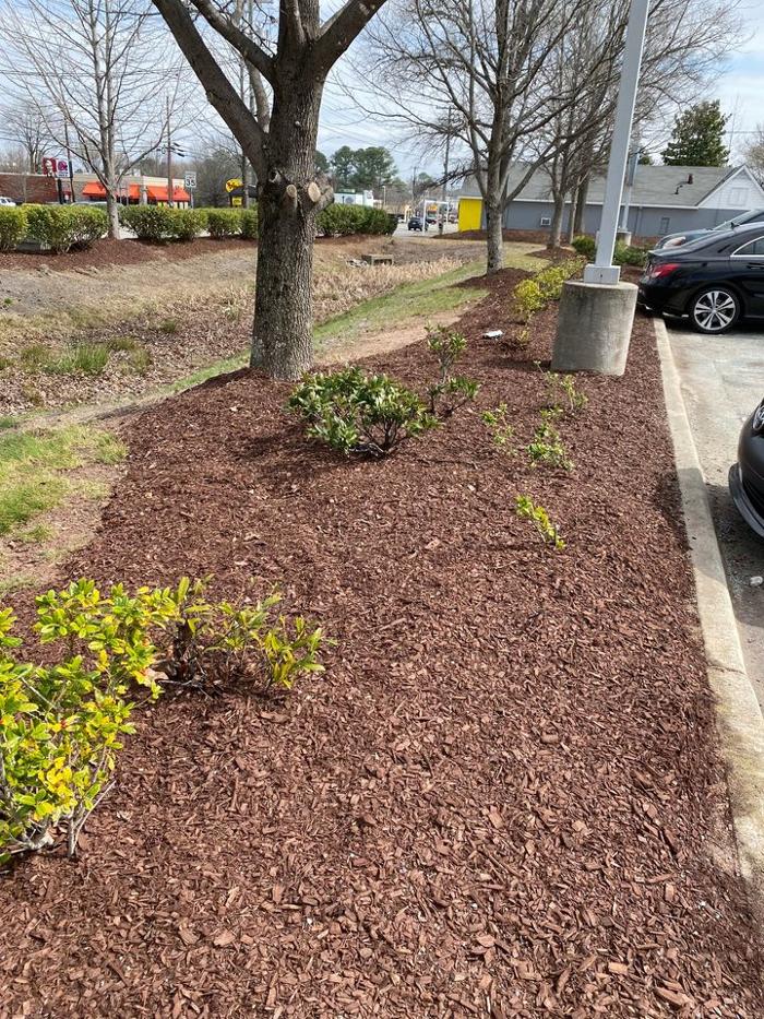 Eden Landscaping - Raleigh, NC