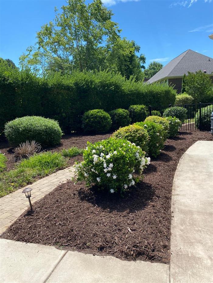 Eden Landscaping - Raleigh, NC