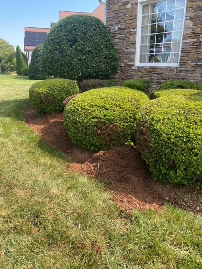Eden Landscaping - Raleigh, NC