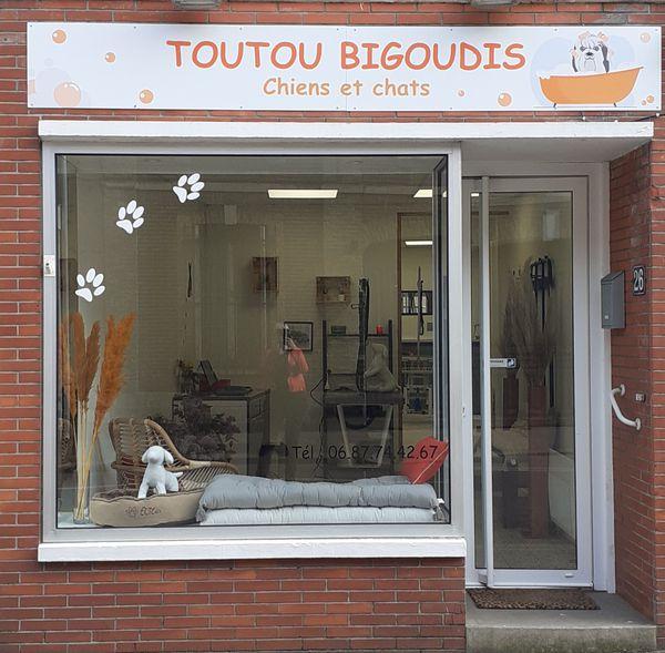 Toutou Bigoudis toilettage de chien et chat