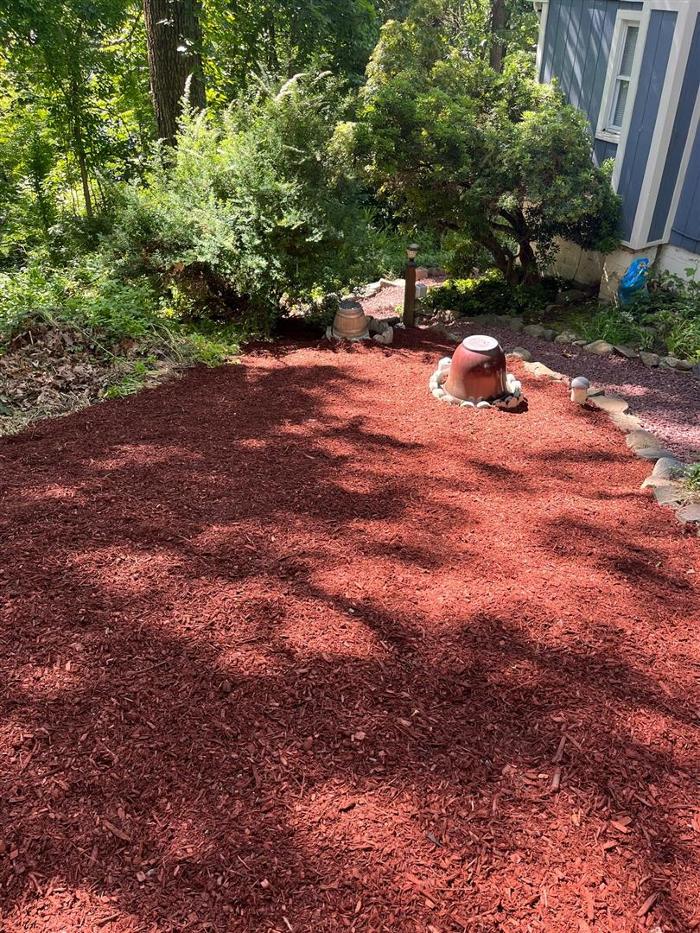 AMP Landscaping LLC - Dover, NJ