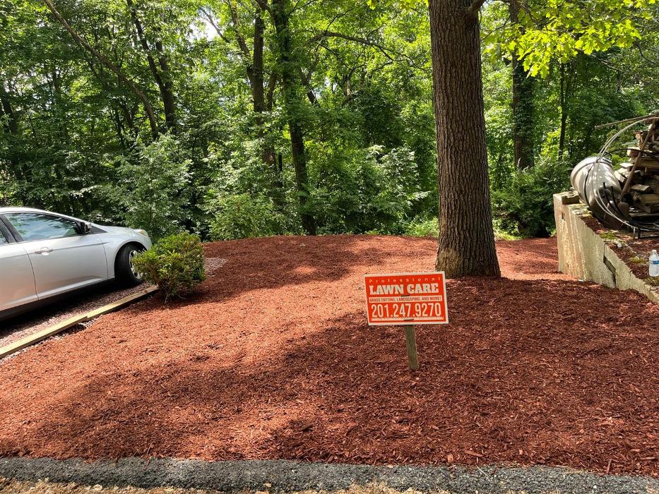 AMP Landscaping LLC - Dover, NJ