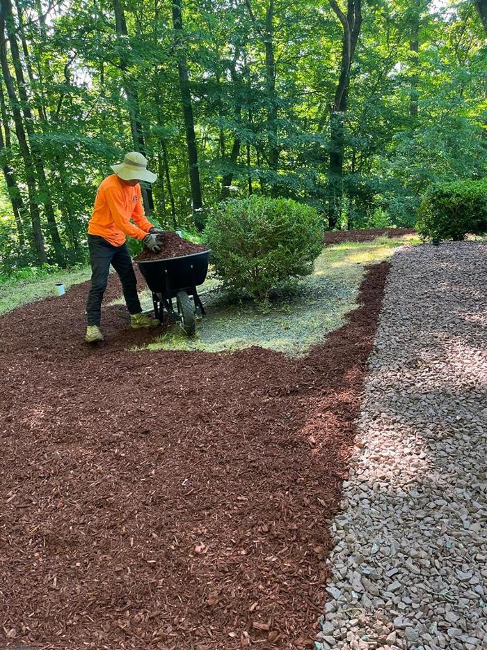 AMP Landscaping LLC - Dover, NJ