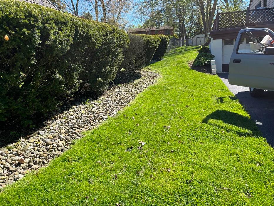 AMP Landscaping LLC - Dover, NJ