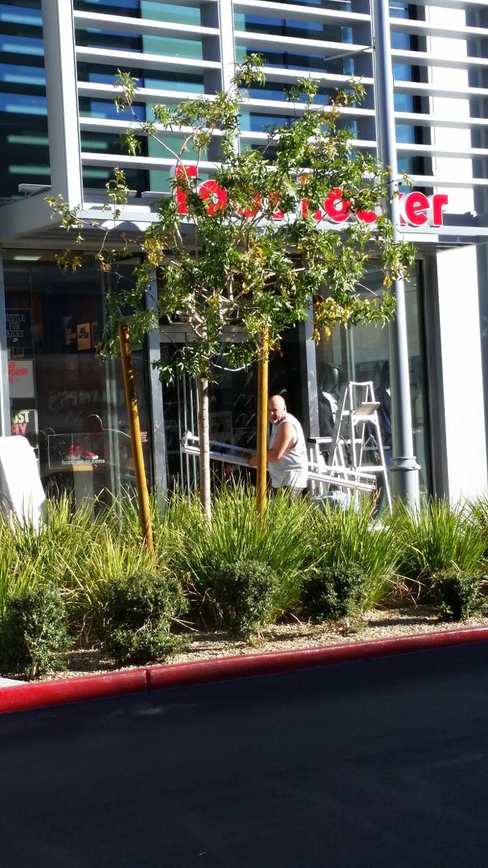 Smart Sun Control - Tarzana, CA