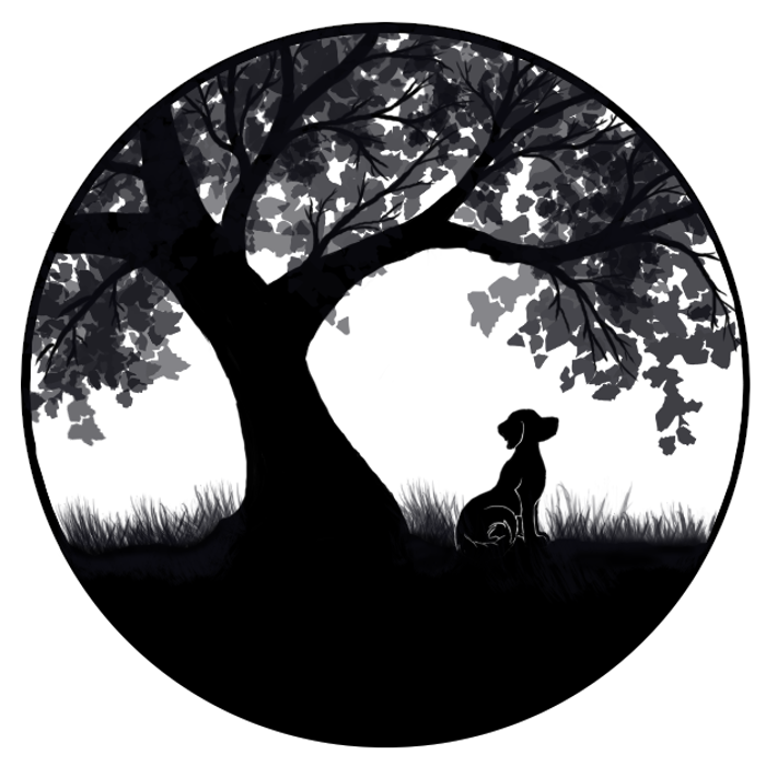 Llewellyn's Grove Labradoodles, LLC - Laurel, MD