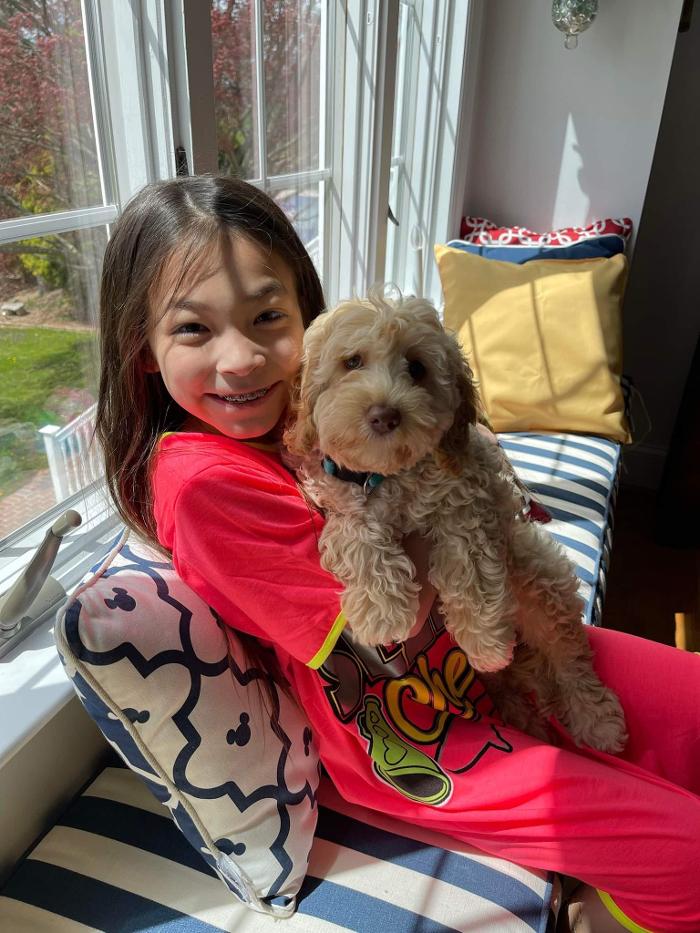 Llewellyn's Grove Labradoodles, LLC - Laurel, MD