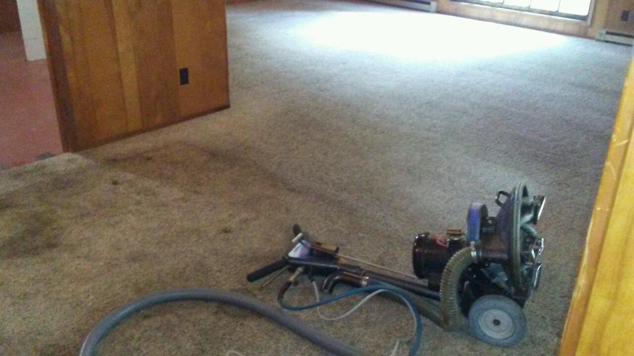 Absolute Carpet Cleaning Inc Portland (503)351-4954